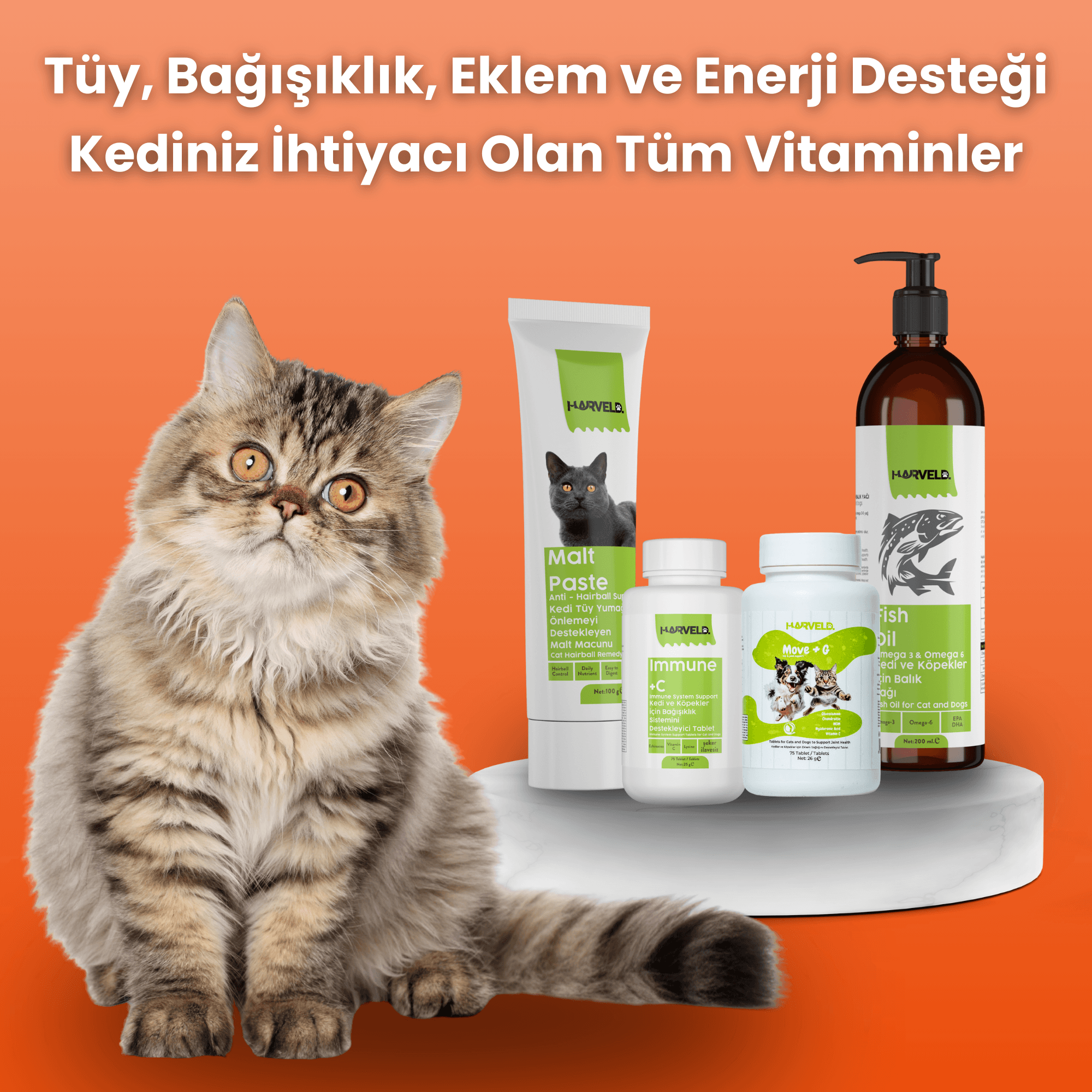 Harveld Kediniz Için Premium Sağlık Seti 4'lü Kedi Bakım Seti Malt Paste - Fish Oil - Immune C - Move G
