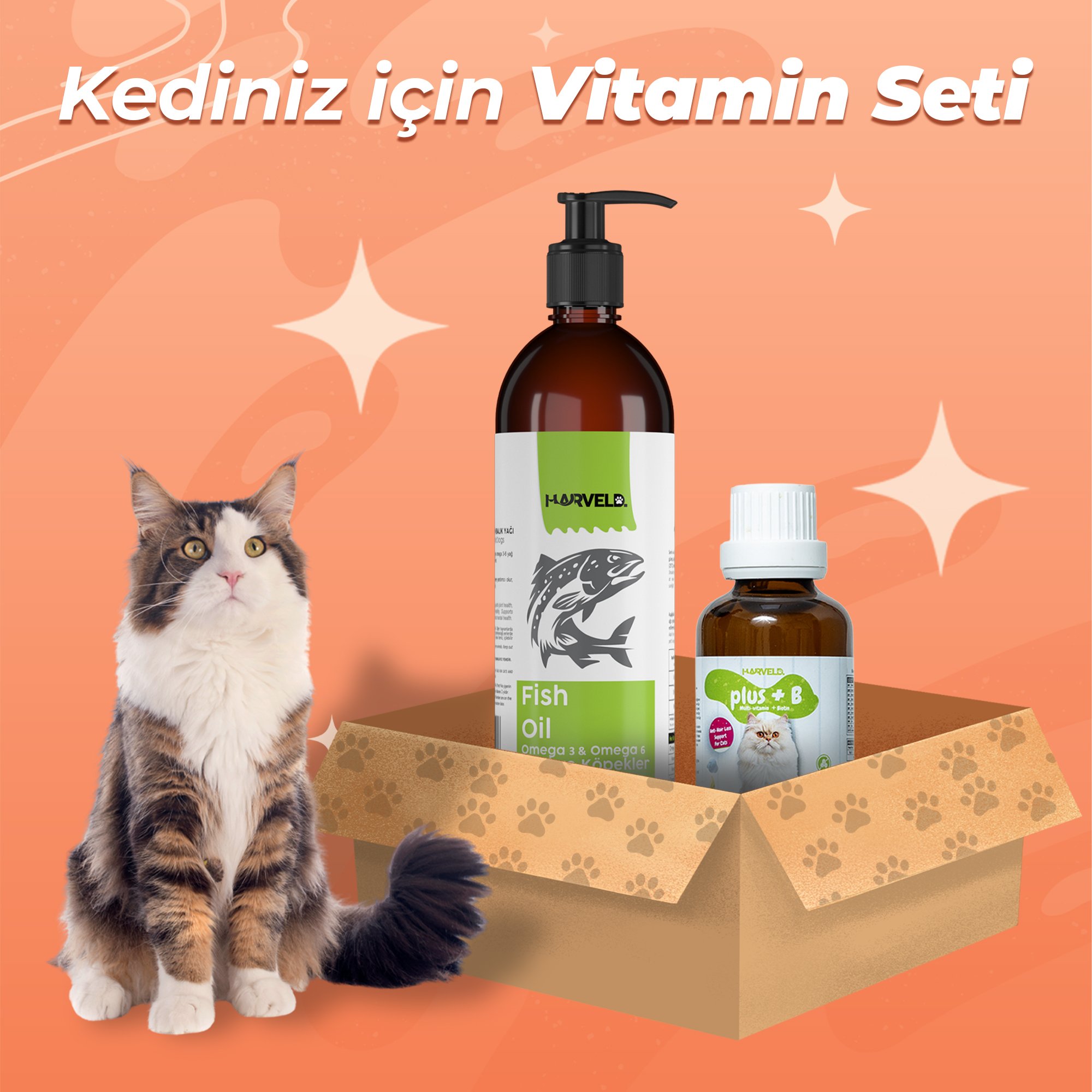 Harveld Kedi Vitamini ve Balık Yağı Tam Bakım Seti – Tüy ve Deri Sağlığı, Omega 3-6, Çinko, Biyotin İçeren Multivitamin, Bağışıklık ve Eklem Desteği (Plus B Damla + Fish Oil 200ml)