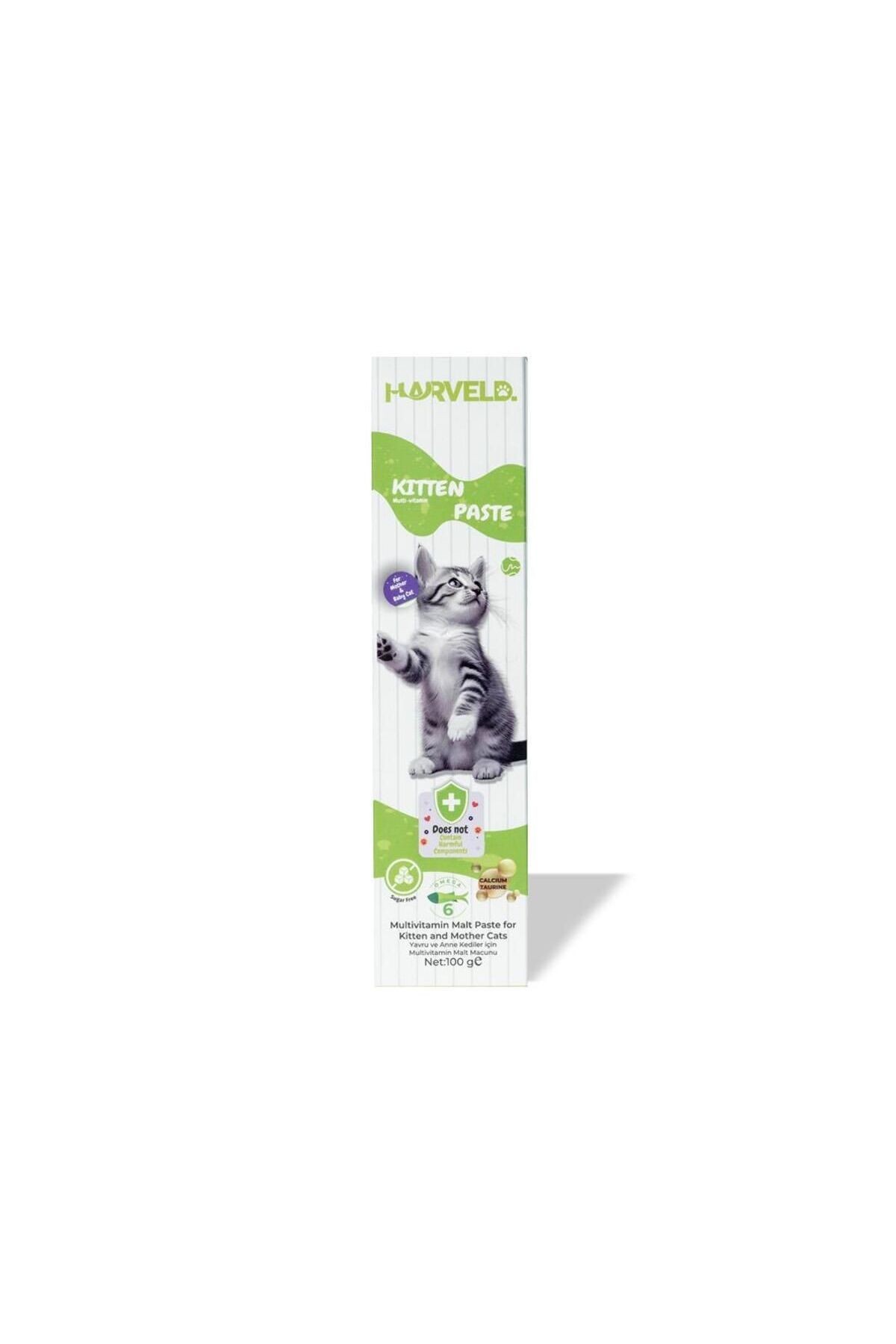 Kitten Paste Anne Yavru Kedi Bağışıklık Sindirim Iskelet Kas Sistemi Destekleyici 12 Vitamin Macun