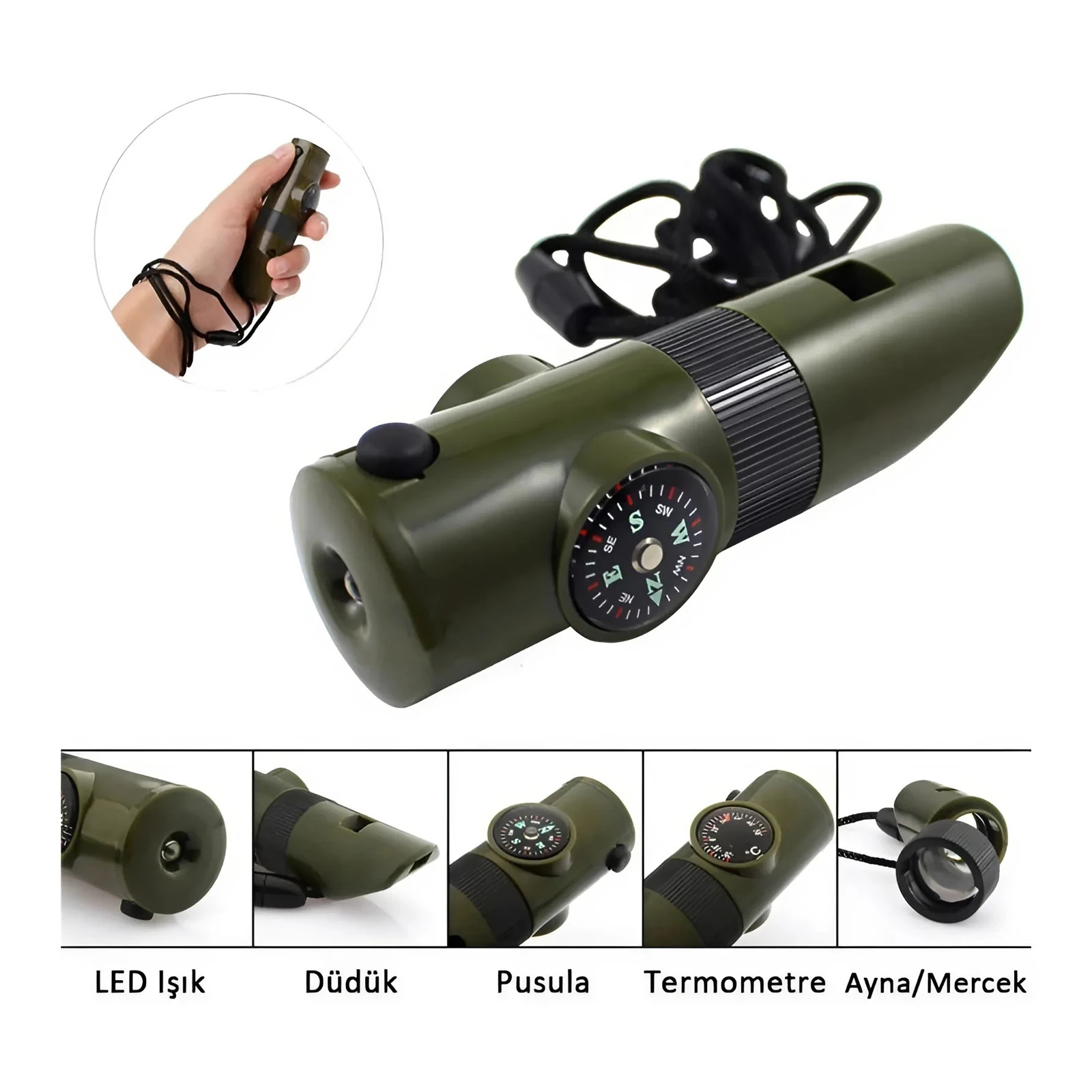 KUZEY YEŞİL PUSULALI DÜDÜK