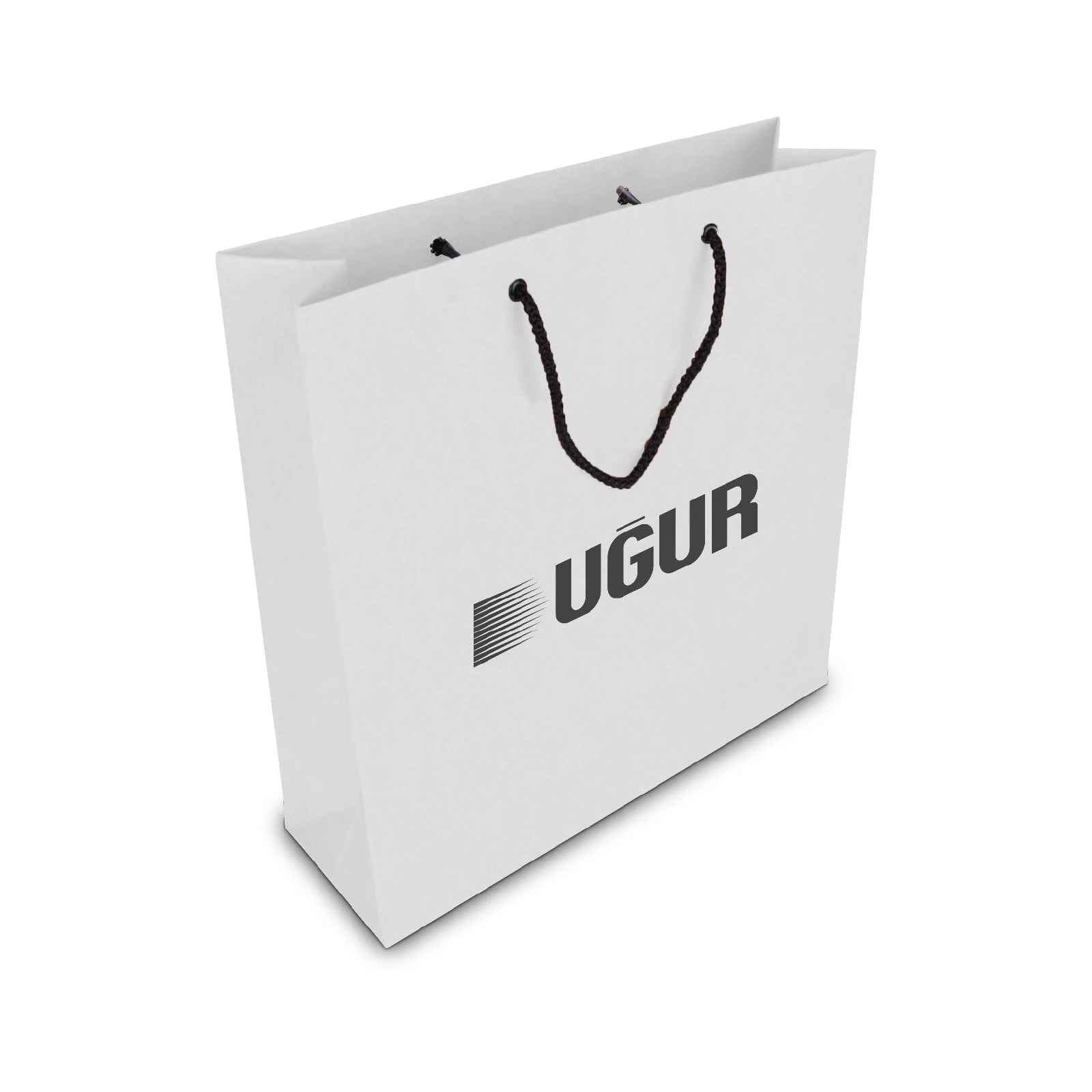 ALA-56 KÜÇÜK BOY KARTON ÇANTA(24x25.5x8,5 cm)