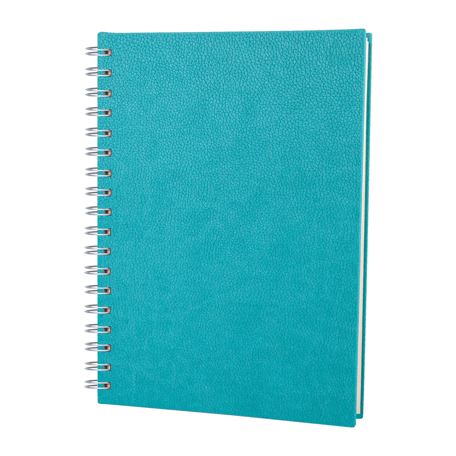 ELMADAĞ TURKUAZ TARİHLİ SPİRALLİ AJANDA (17X24 CM)