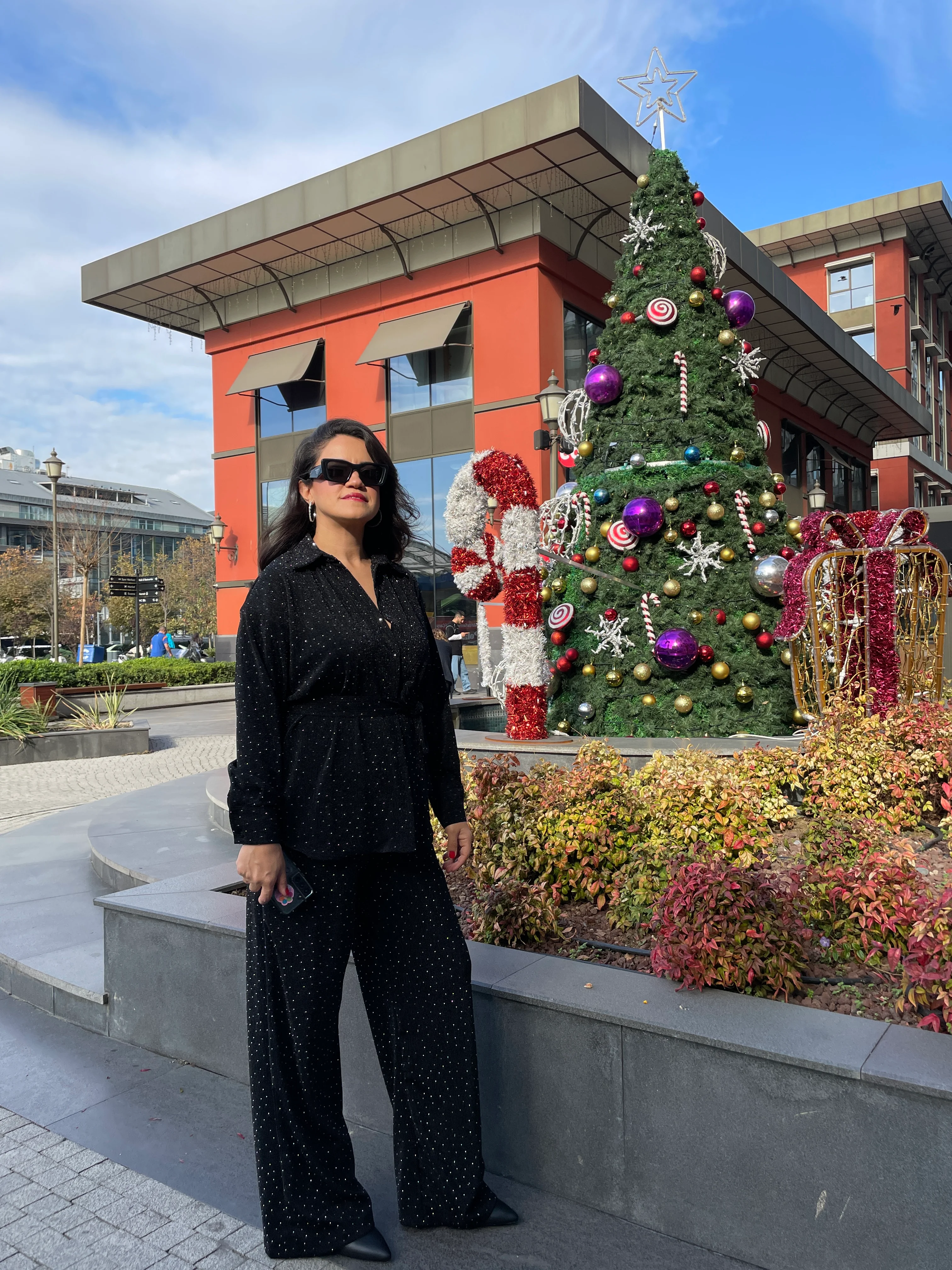 Işıltılı taşlı takım