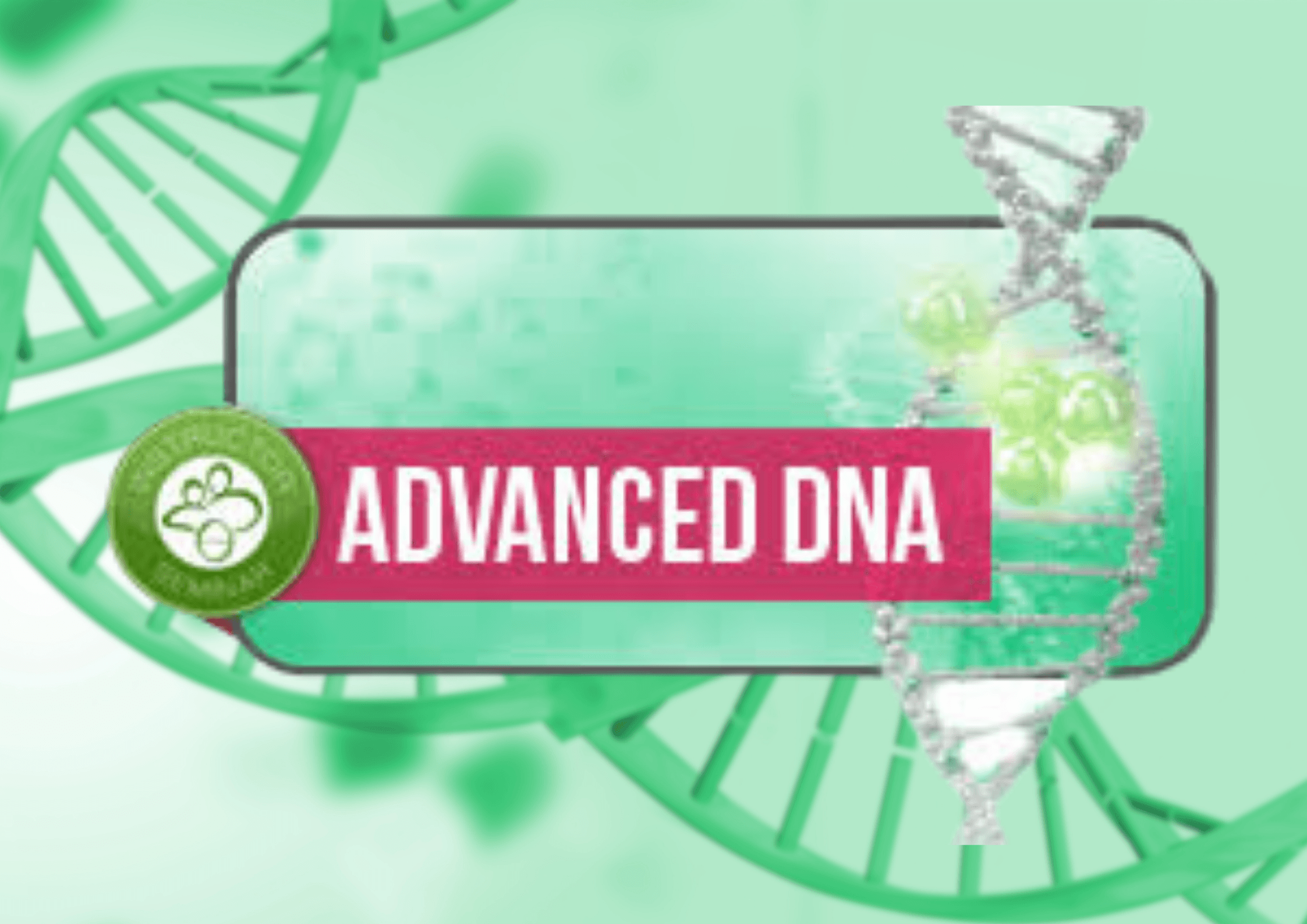 THETAHEALING® Advanced DNA (İleri Seviye DNA)