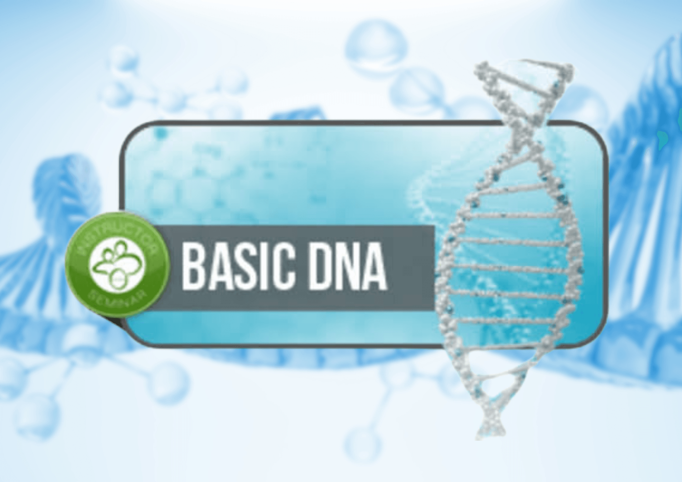 THETAHEALING® Basic DNA(Temel DNA)