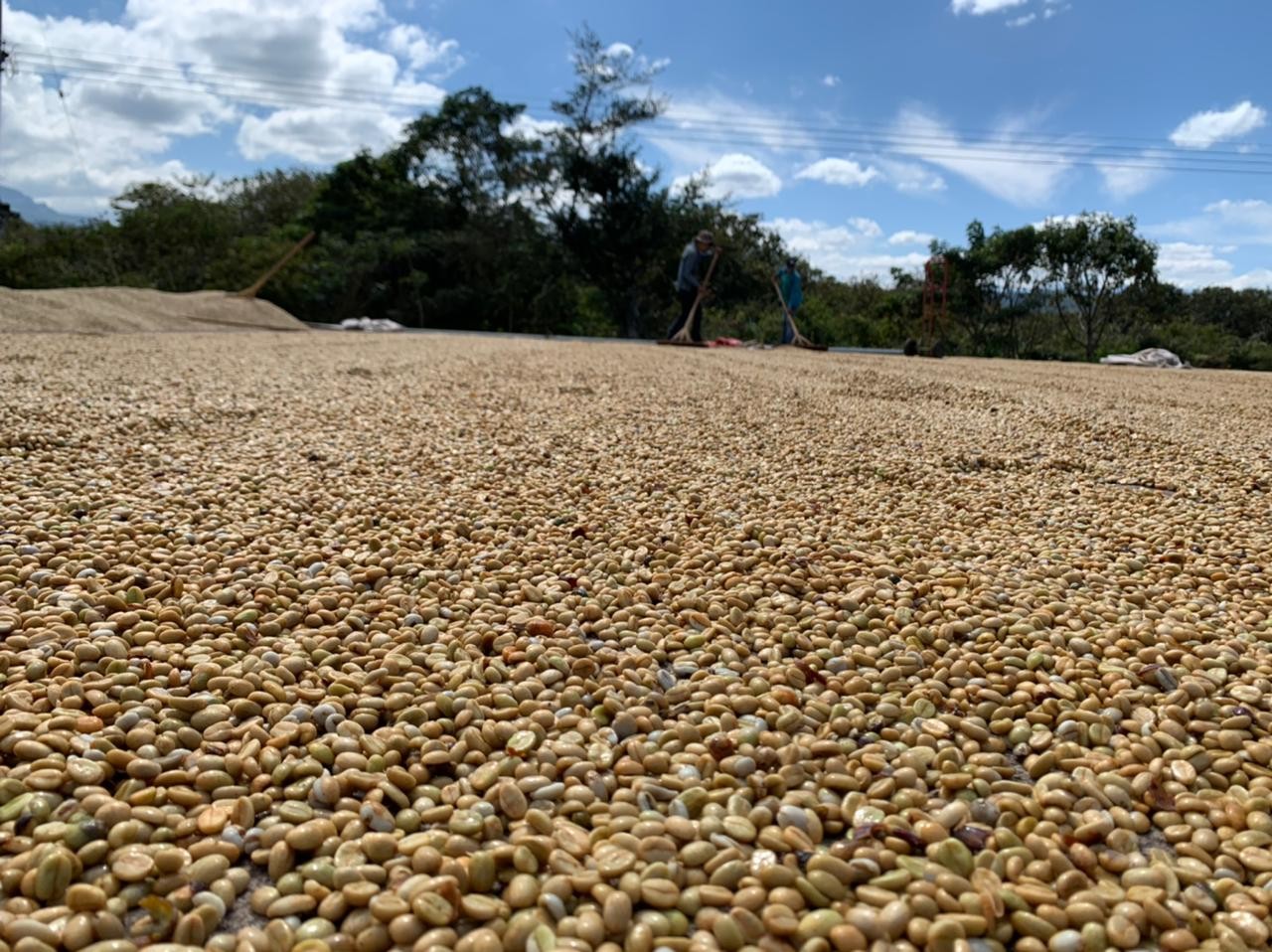 GUATEMALA - Rıo Azul - Huehuetenango