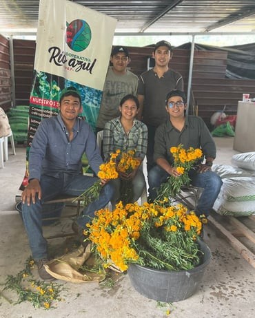 GUATEMALA - Rıo Azul - Huehuetenango