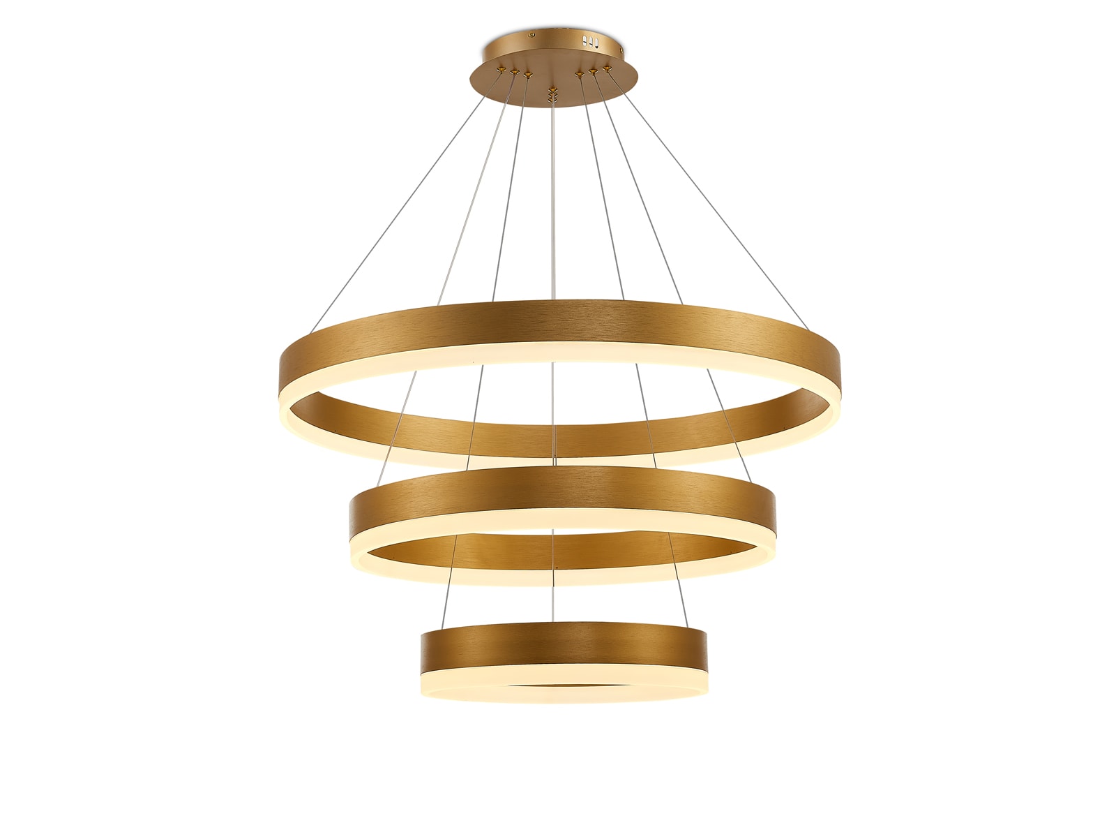 Halka Modern Led Sarkıt Avize Üçlü Gold