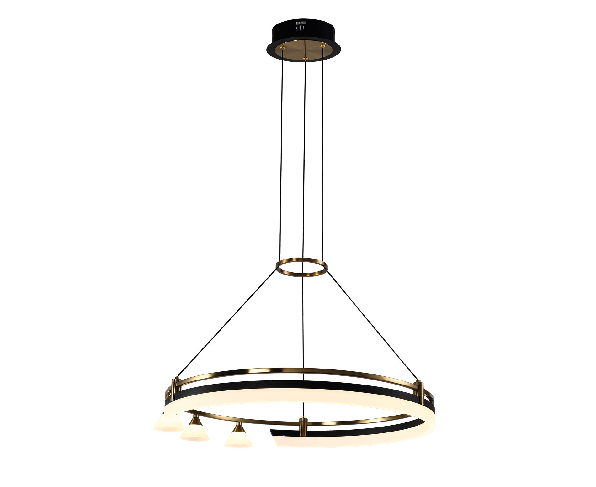 Robin Modern LED Avize 60 cm