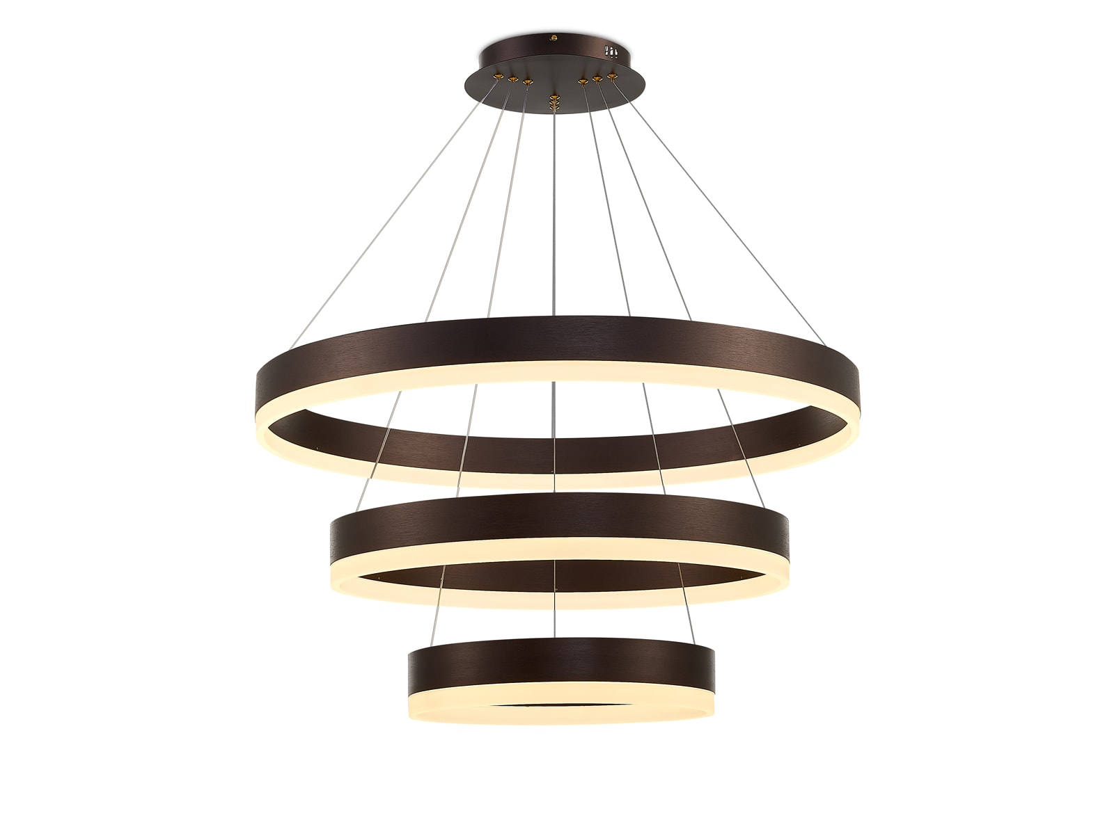 Halka Modern Led Sarkıt Avize Üçlü Kahve