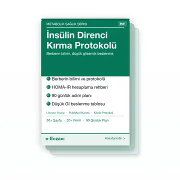 İnsülin Direnci Kırma Protokolü — e-Eczacı Uzman Rehberi