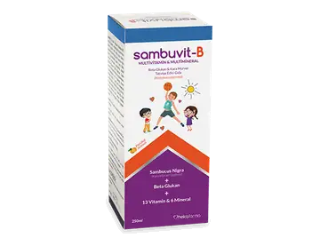 Sambuvit-B Multivitamin Multimineral Beta Glukan Kara Mürver Takviyesi 250 ml Şişe