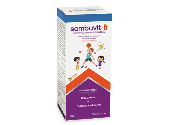 Heka Farma Sambuvit-B Multivitamin Multimineral Beta Glukan Kara Mürver Takviyesi 250 ml Şişe