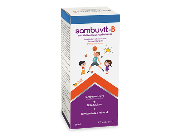 Sambuvit-B Multivitamin Multimineral Beta Glukan Kara Mürver Takviyesi 250ml Şişe