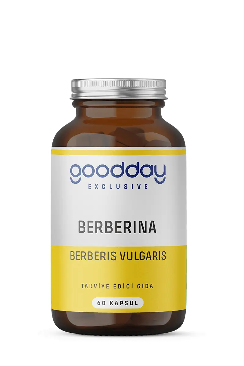 GoodDay Exclusive Berberina Kapsül Berberis Vulgaris 60 Kapsül kutu ve ambalaj