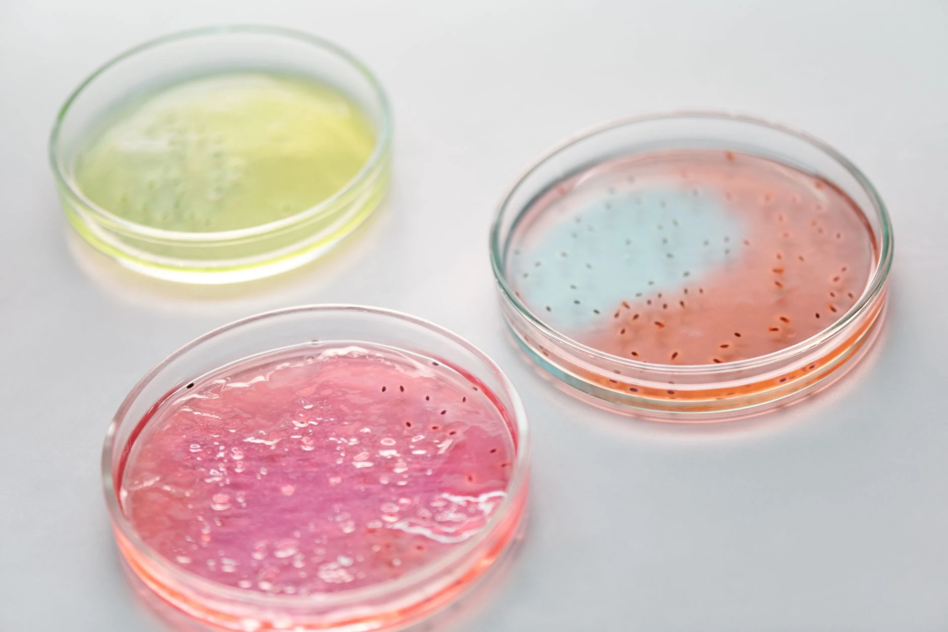 DNA'nız Ne Yiyor? Çığır Açan Nutrigenomik Yanıt