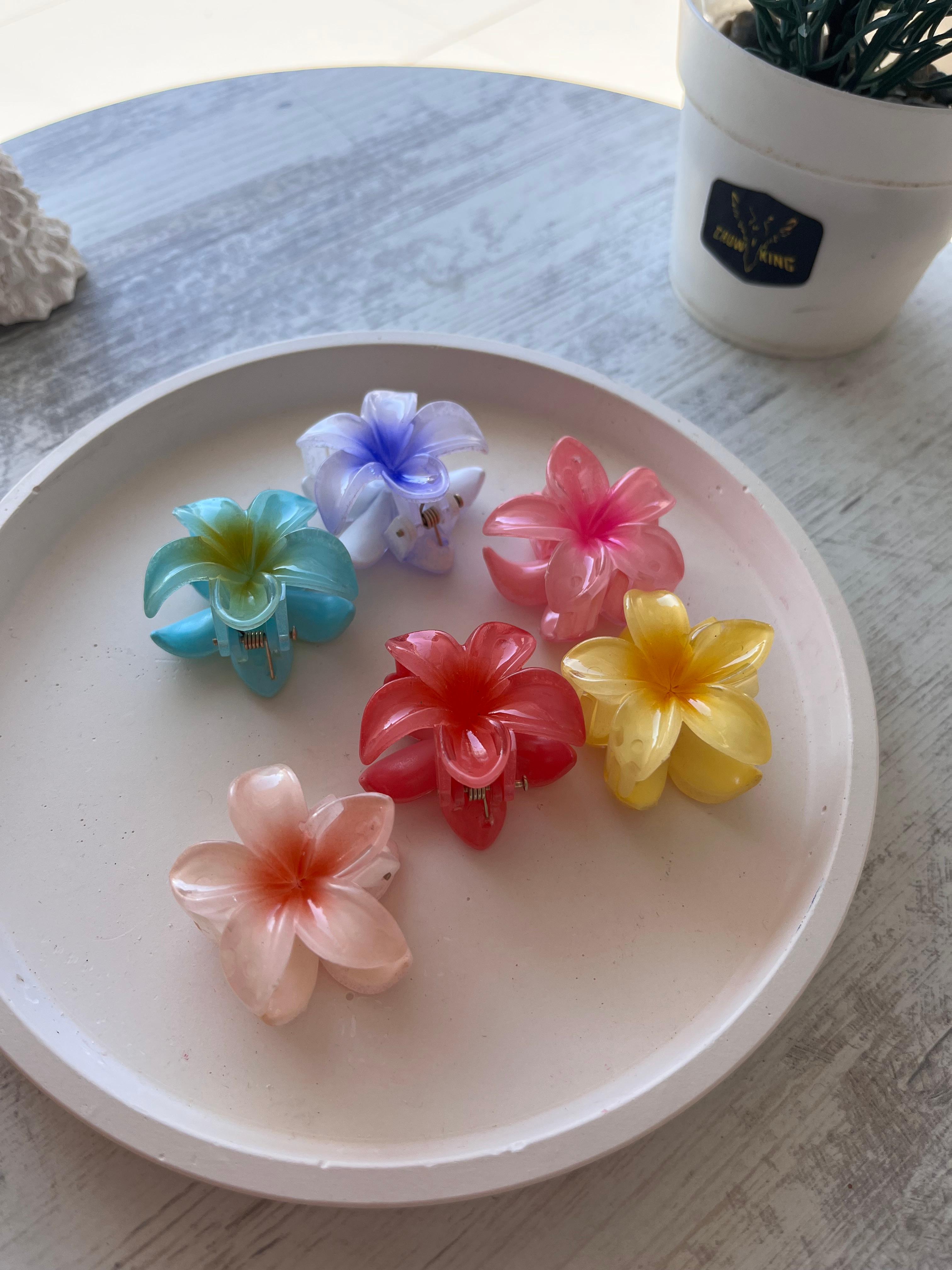 Lotus Toka Küçük 6'lı Set