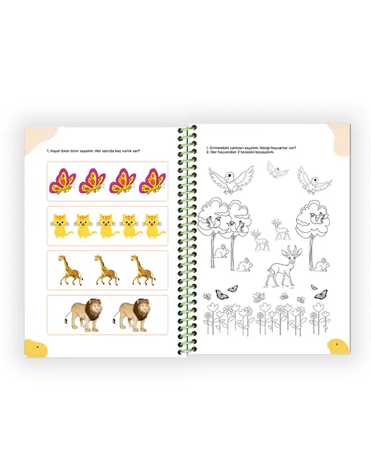 Dikkat Odaklı Etkinlik Kitabı Matematik 5-6 Yaş iç sayfa