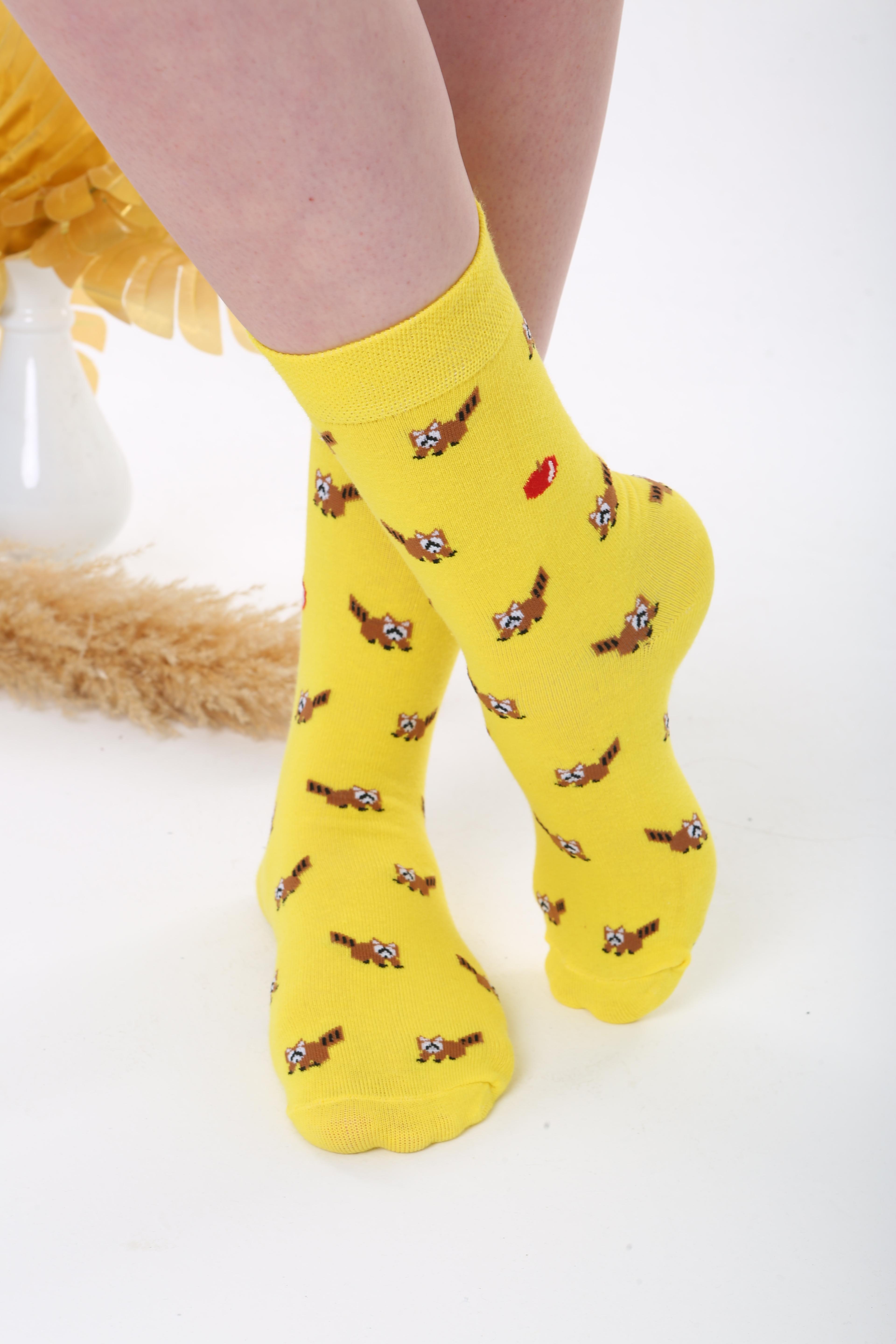 Tilki Desenli Sarı Renkli Çorap