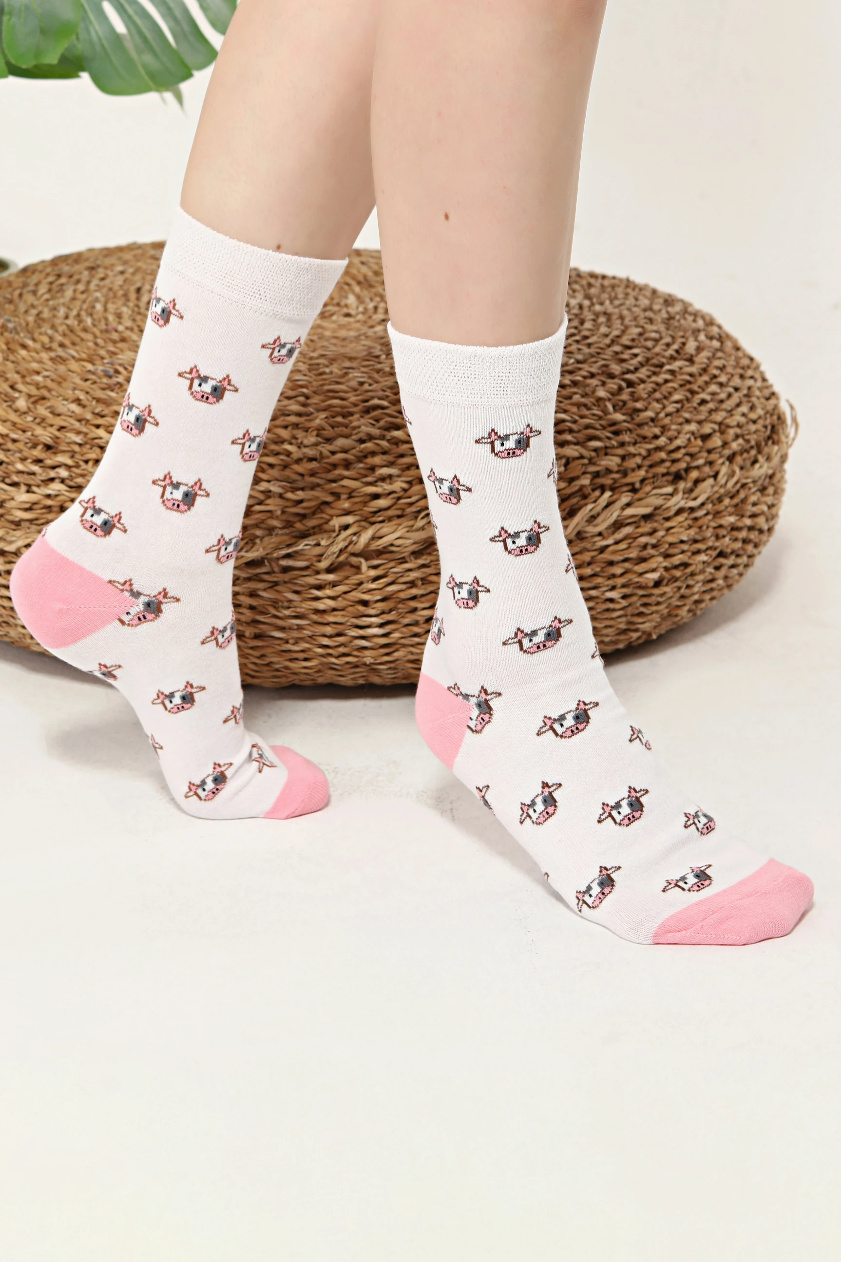 Unisex 5'li Hayvan Desenli Renkli Çorap Set