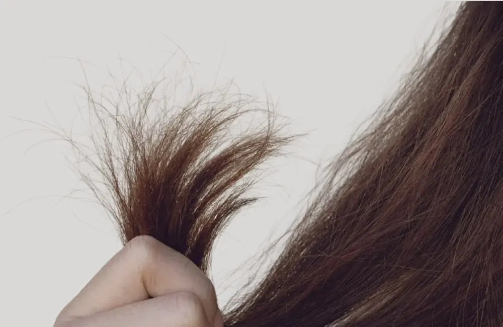 Saç Dökülmesi mi, Saç Kırılması mı?