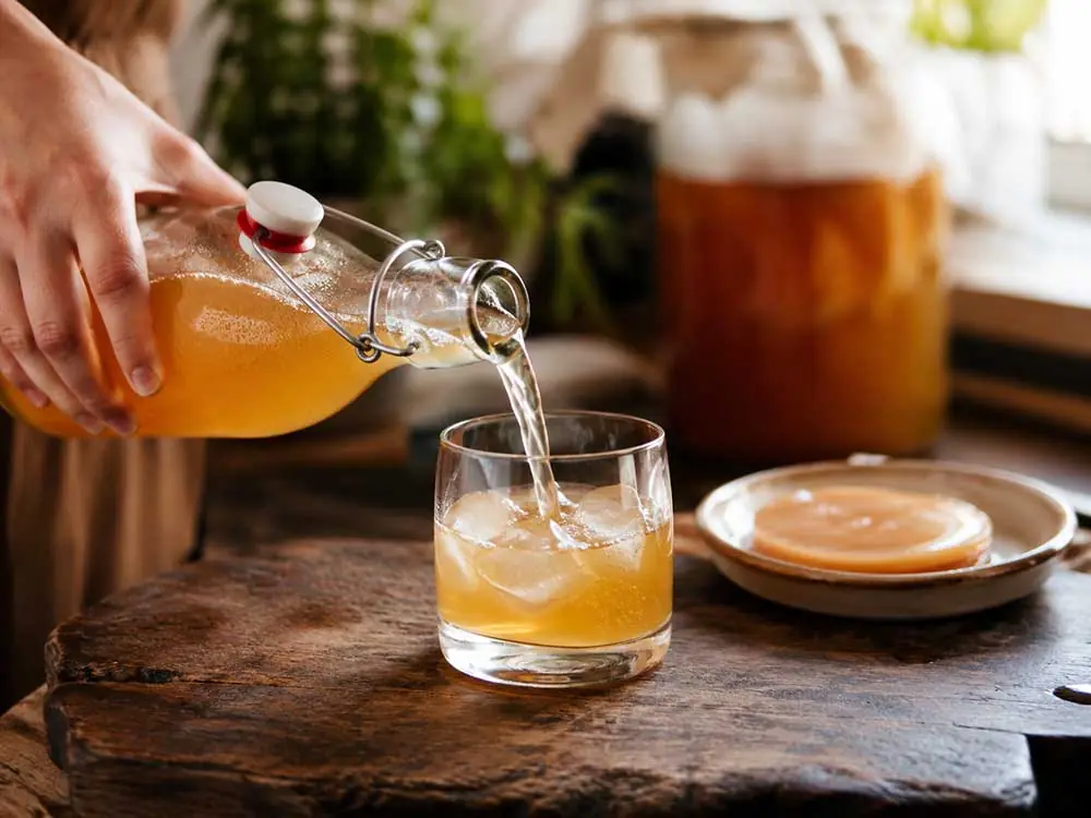 Hazır Kombucha: Şişeleyin ve Soğuk Servis Edin