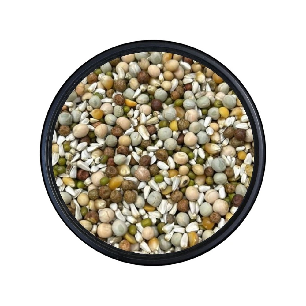 Kondisyon Güvercin Yemi