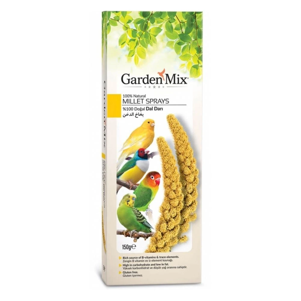 Gardenmix Platin Sarı Dal Darı 150 GR