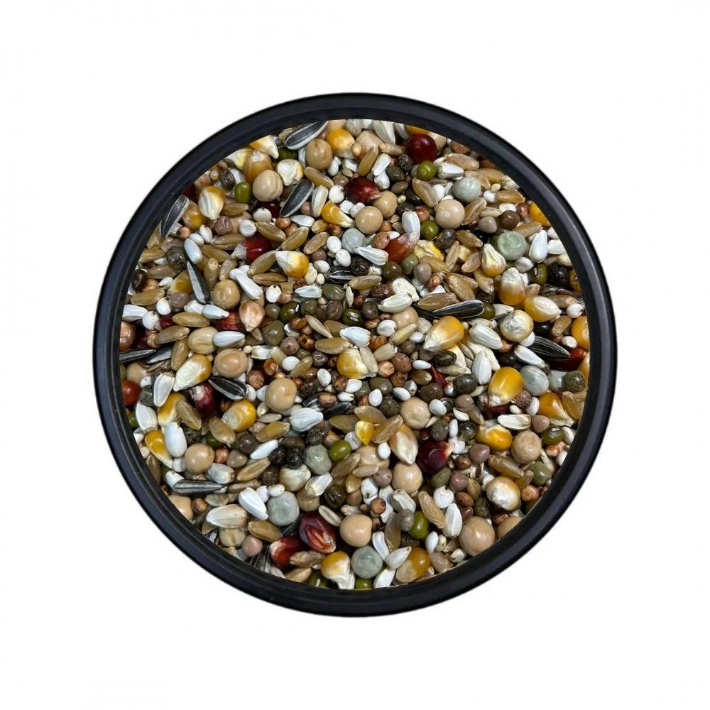 Tüm Sezon Güvercin Yemi