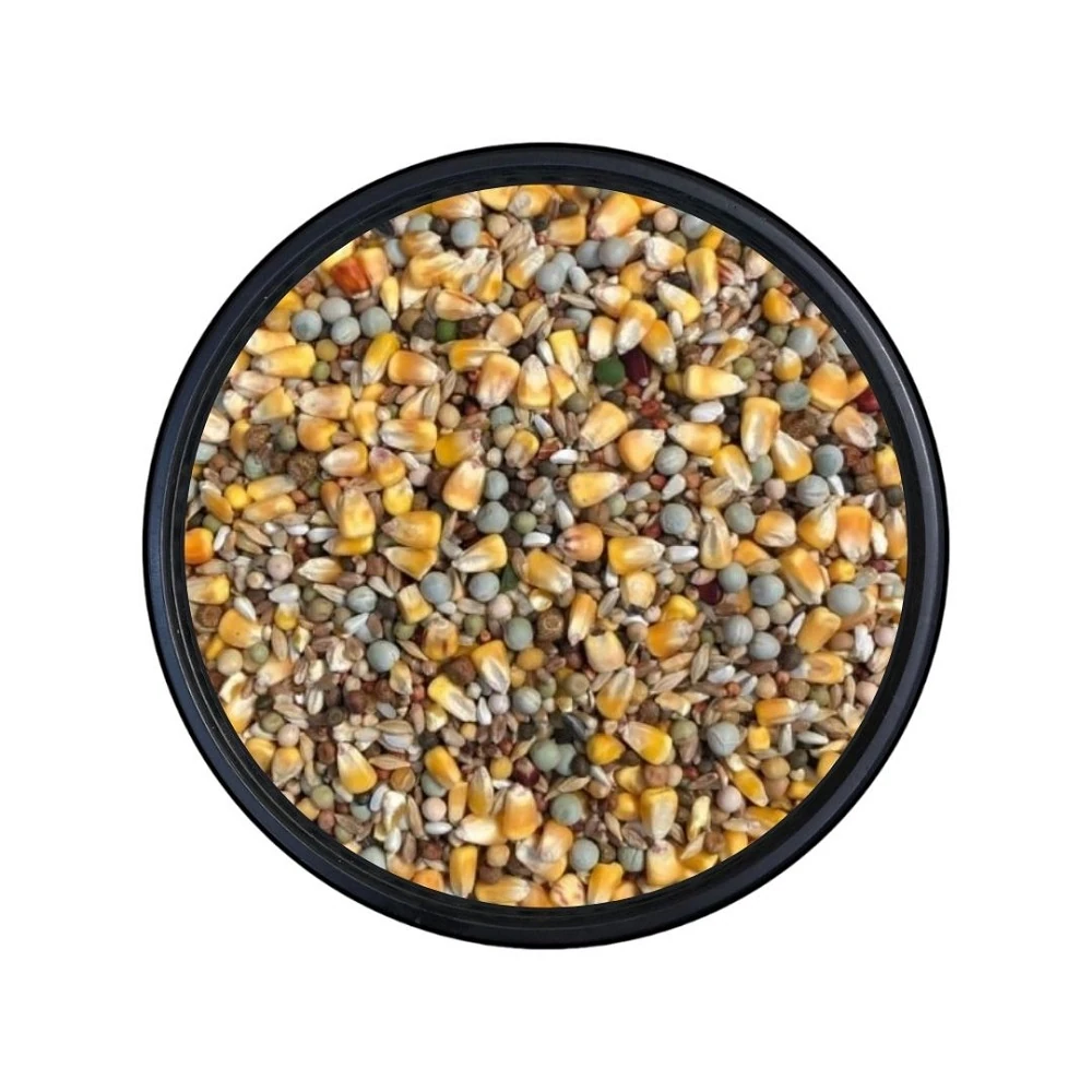 Posta Güvercin Yemi