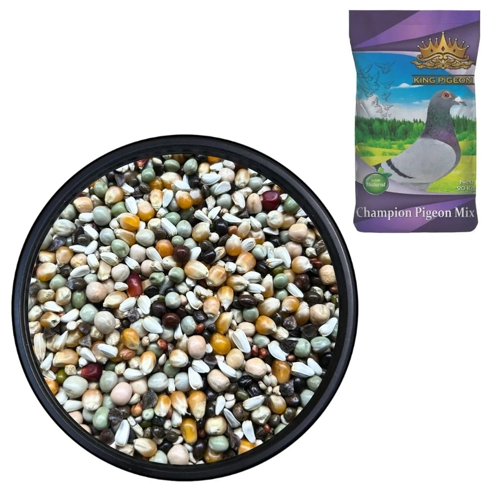 King Pigeon Bezelyeli 20 KG