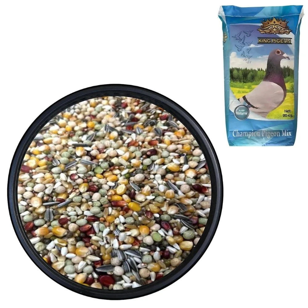 King Pigeon Mavi 20 KG