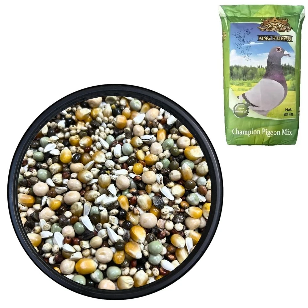 King Pigeon Yeşil 20 KG