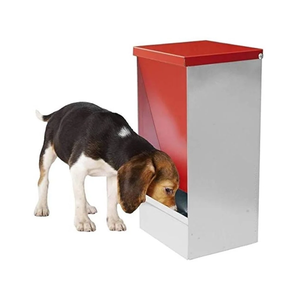 Galvaniz Otomatik Köpek Yemliği 6 KG