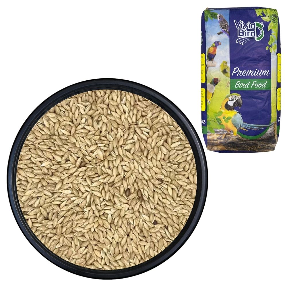 Vivid Bird Saka Yemi 20 KG