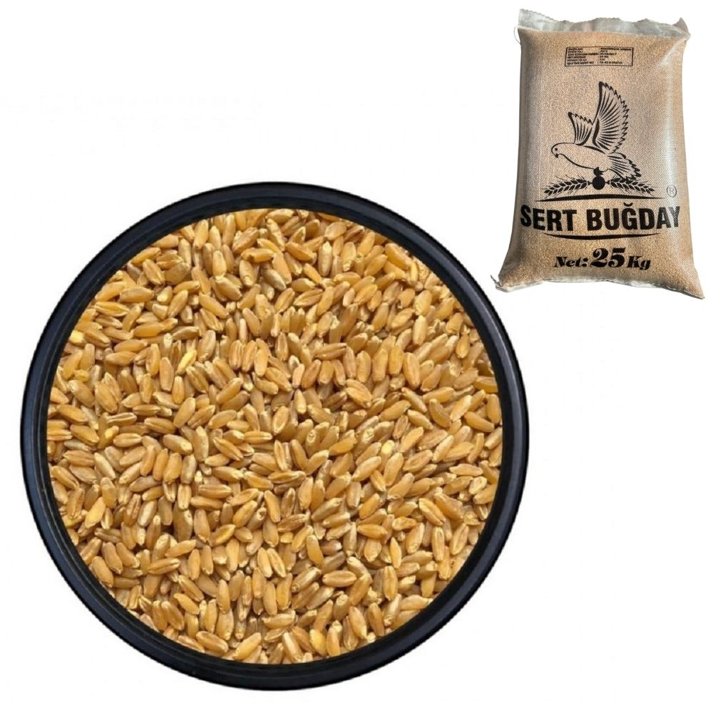 Konya Sert Makarnalık Buğday 25 KG