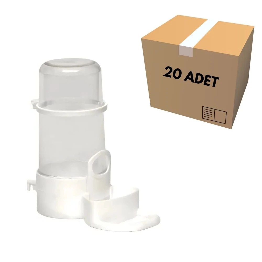 Papağan Suluk (20 Adet)