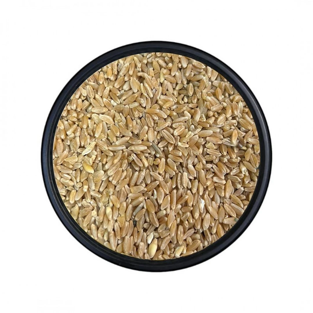 Kırık Sert Buğday