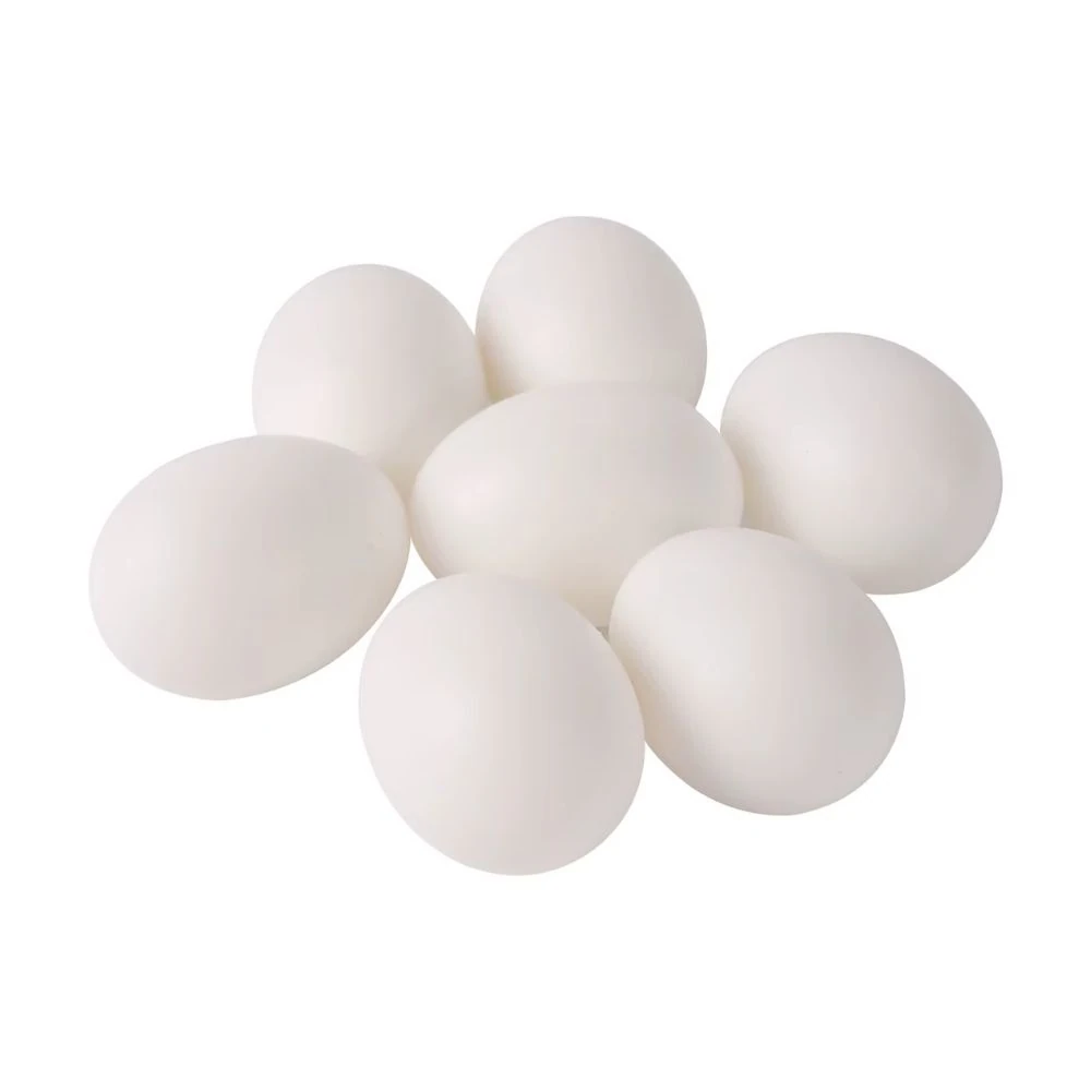 Güvercin Sahte Yumurta 10'lu (Boş)