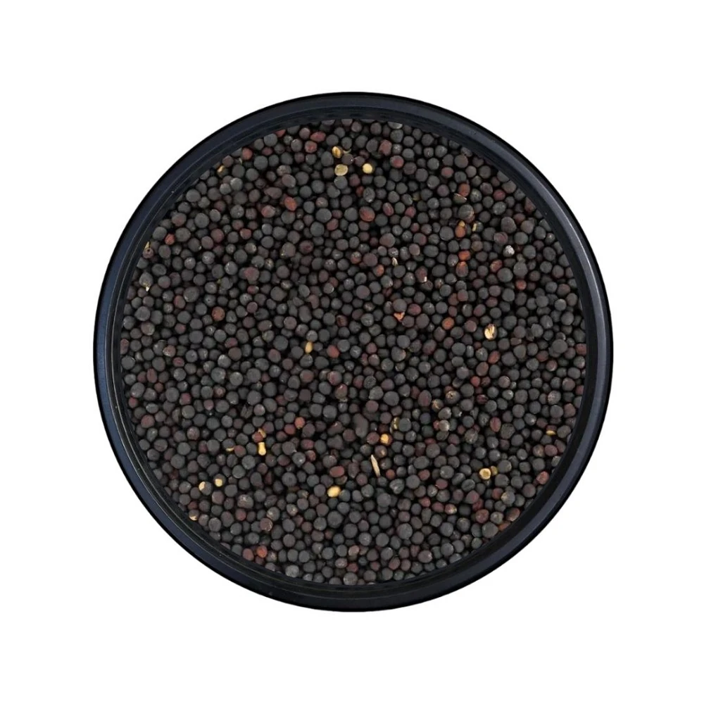 Rapiska Kanola Tohumu