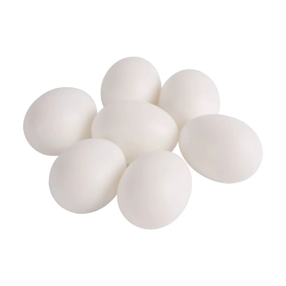 Güvercin Sahte Yumurta 10'lu (Dolu)