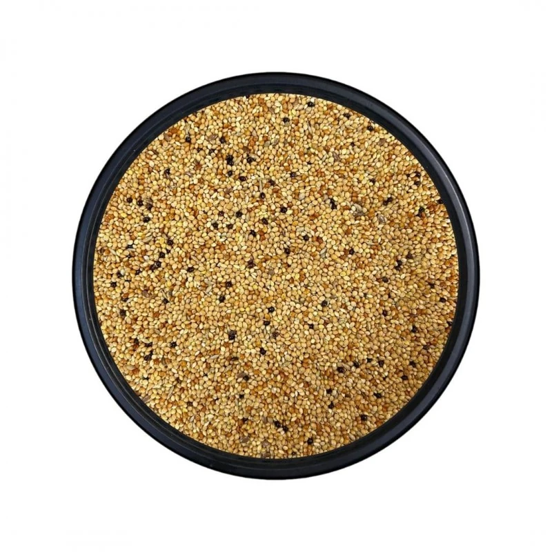 Ekmeksiz Muhabbet Kuşu Yemi