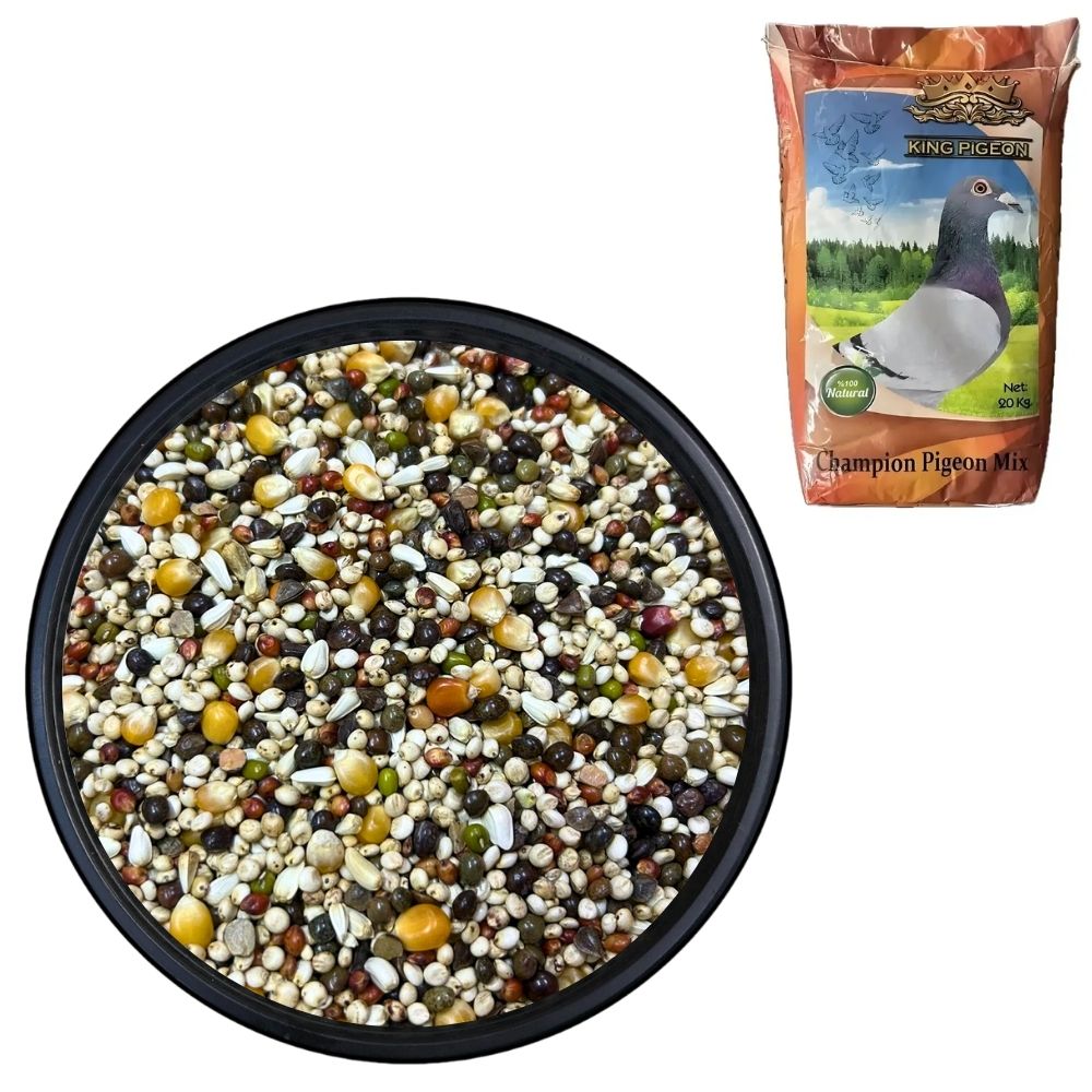 King Pigeon Bezelyesiz 20 KG