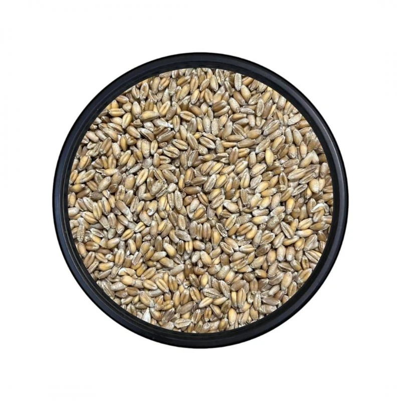 Trakya Esmer Buğday