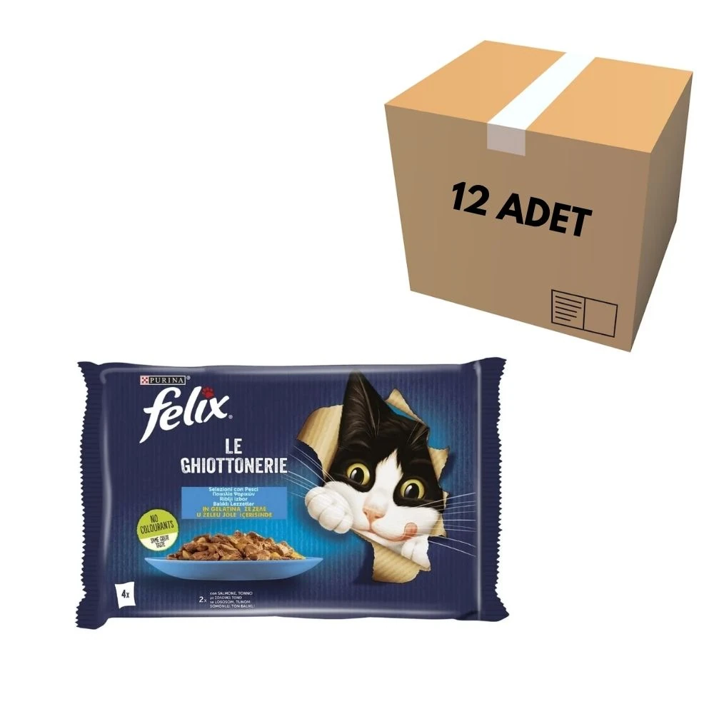 Purina Felix Somonlu & Ton Balıklı Kedi Yaş Mama 4x85 GR (12 Adet)