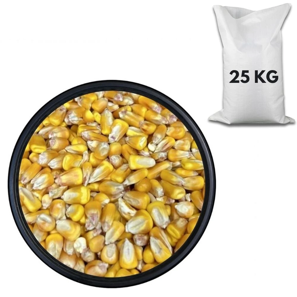İri Mısır 25 KG
