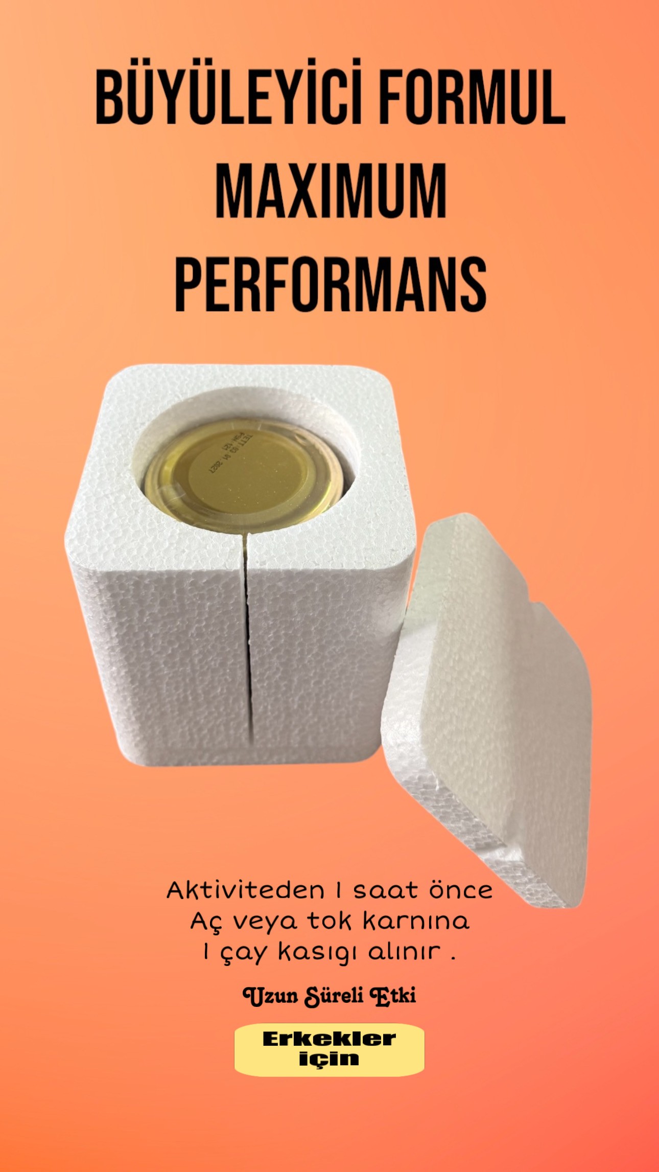 PERFORMANS