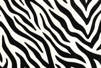 Zebra Desen