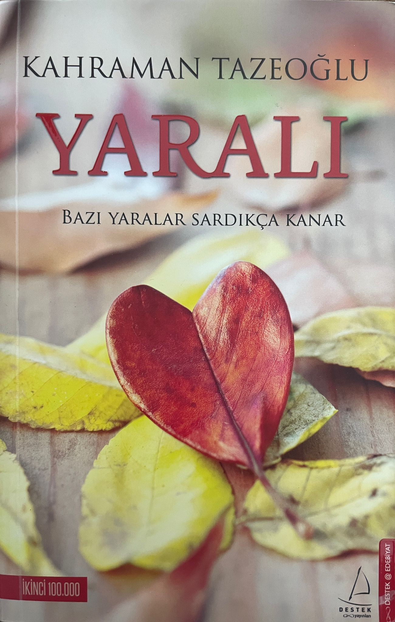 Kahraman Tazeoğlu - Yaralı