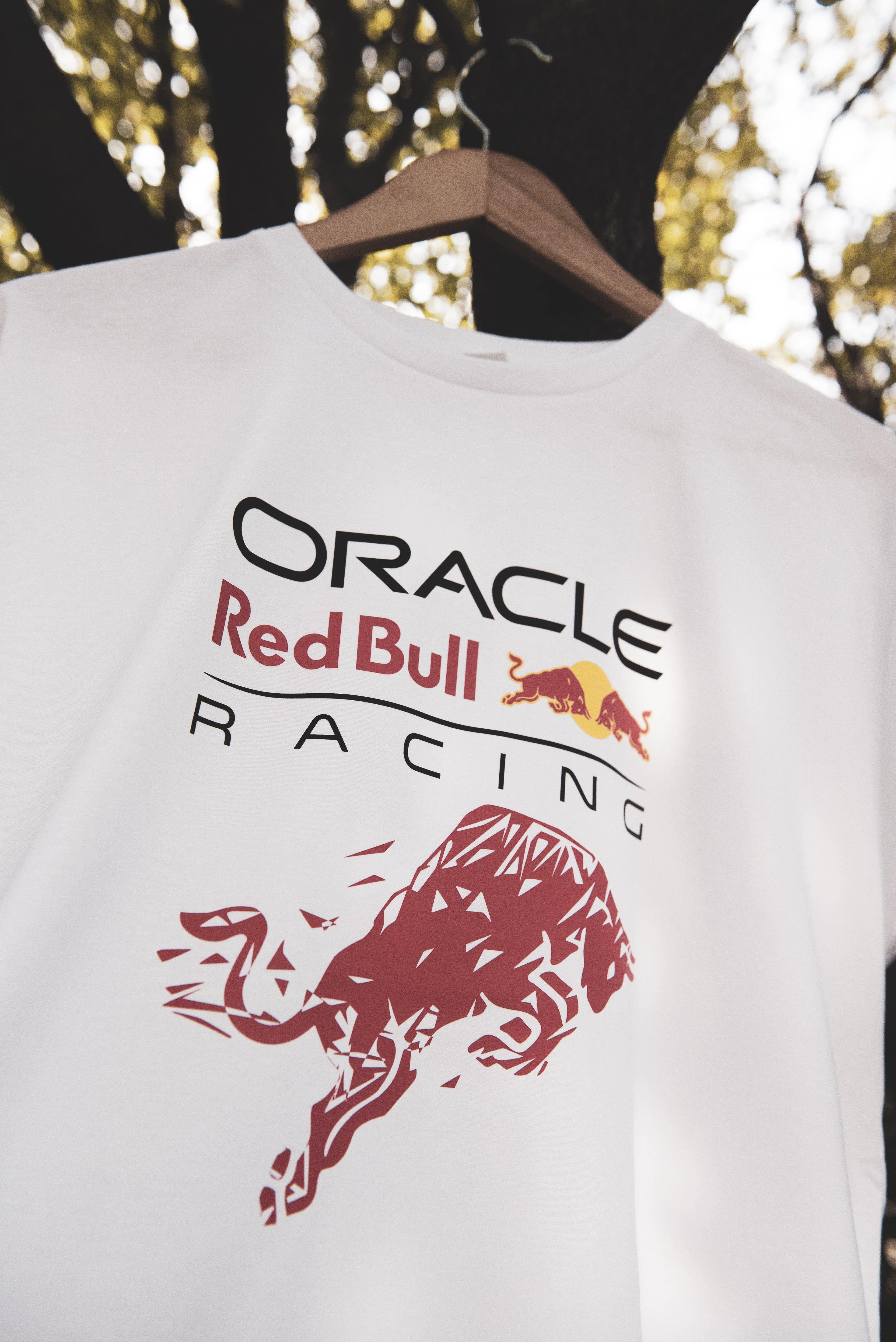 Oracle Red Bull Racing 2023